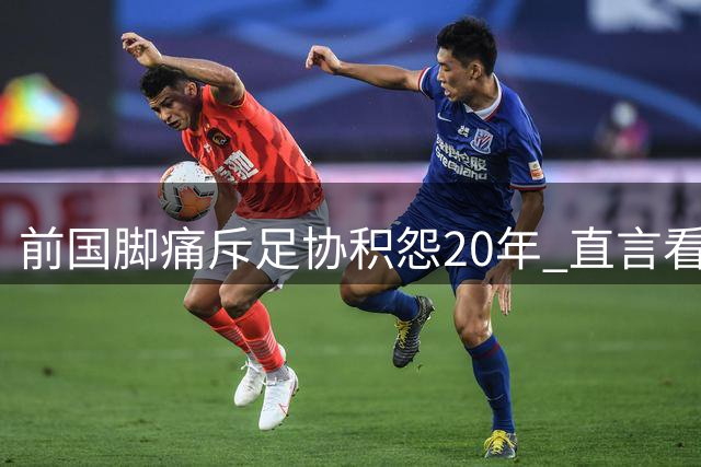 前国脚痛斥足协积怨20年 直言看到官员违纪拍手称快